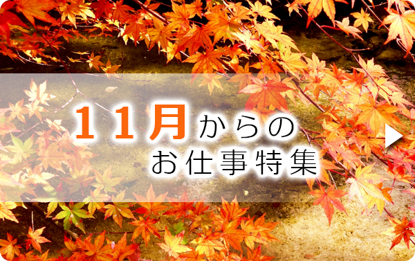 11月のお仕事特集