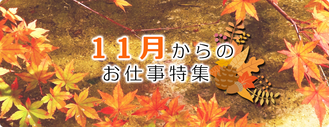 11月からのお仕事特集